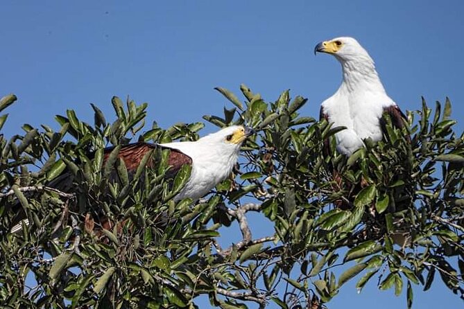 3 Day Kruger National Park Safari & Panorama Route