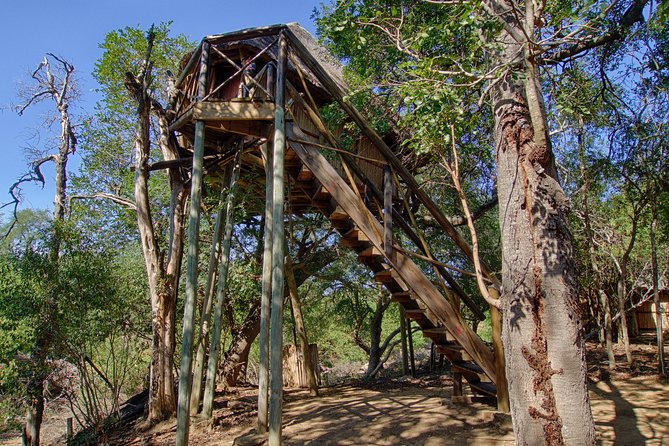 3 Day Lodge/Treehouse Kruger National Park Safari