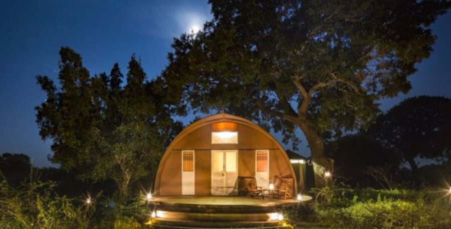 3-Day Luxury Glamping in Yala National Park