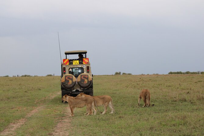 3-Day Maasai Mara Sharing Safari in a 4×4 Land Cruiser Jeep