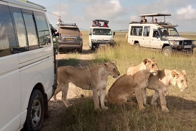 3 Day Private Wild Safari Tour in Maasai Mara