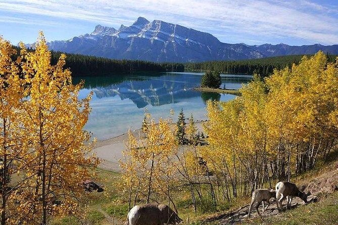 3 Day Rocky Mountains Tour, Banff & Yoho National Park (Free Airport Transfer)