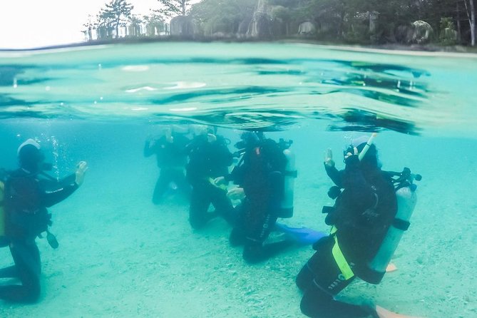 3 Day Whitsundays Sailing and Diving Adventure: Kiana
