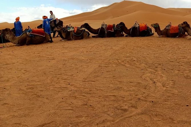 3 Days 2 Nights: Desert Tour From Fes to Marrakech