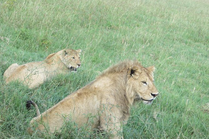 3 Days Amzing Safari in Tarangire and Nngorongoro