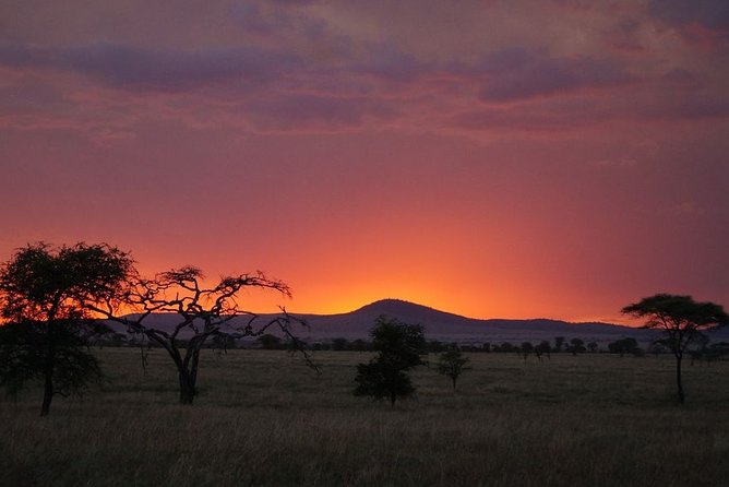 3 Days Budget Masai Mara Safari