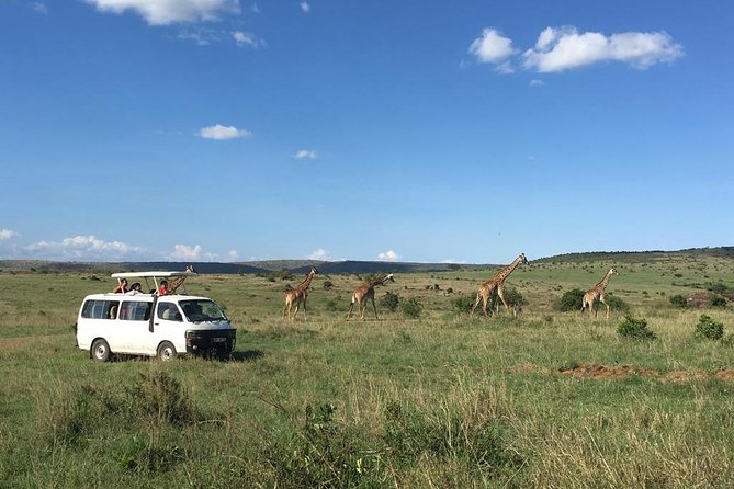 3 Days Masai Mara