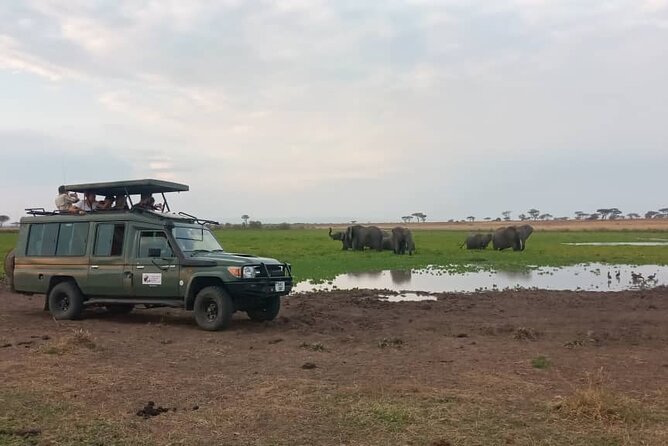 3 Days Safari From Mwanza Serengeti Ngorongoro to Arusha