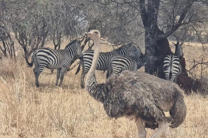 3 Days Serengeti & Ngorongoro Group