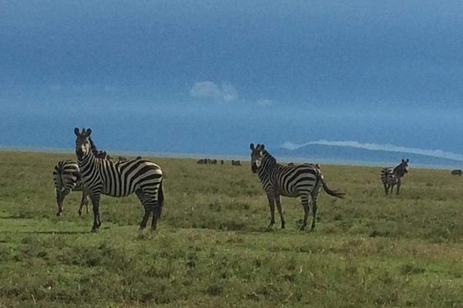 3 Days Tarangire, Lake Manyara and Ngorongoro