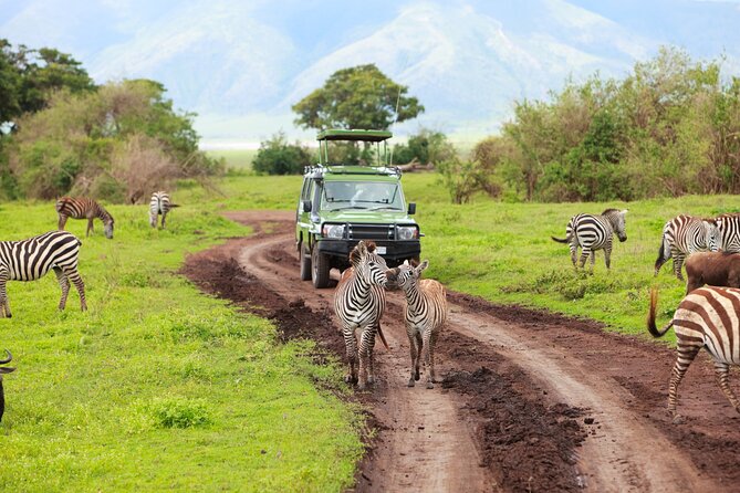3 Days Tarangire, Manyara & Ngorongoro Budget Lodge Safari Tour Tanzania
