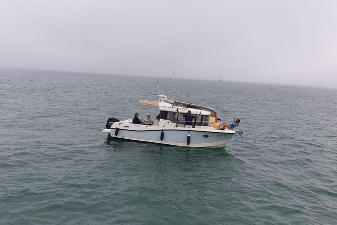 3-Hour Boat Ride Through the Bay of Cadiz