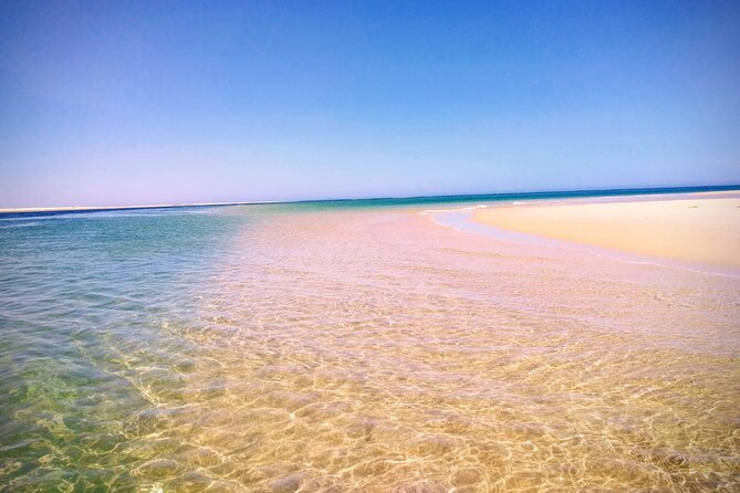 3 Hour Boat Tour in Ria Formosa - Tour Overview