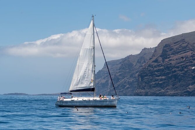 3-Hour Cetacean Watching and Snorkeling Tour in Tenerife
