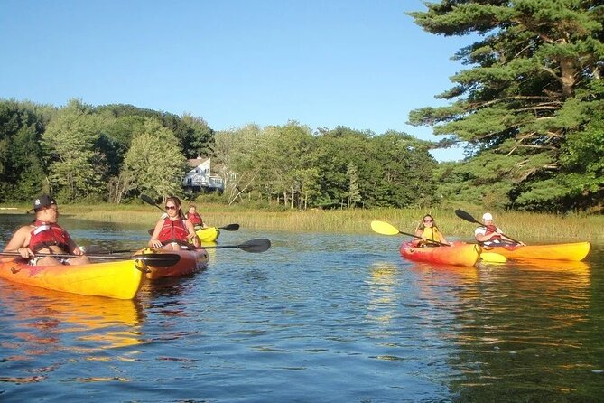 3 Hour Kayak/SUP Rental in Cape Porpoise Harbor