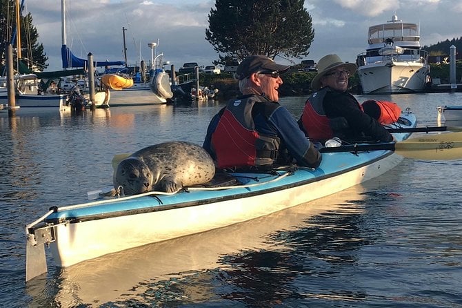 3-Hour Sea Kayak Tour in the San Juan Islands