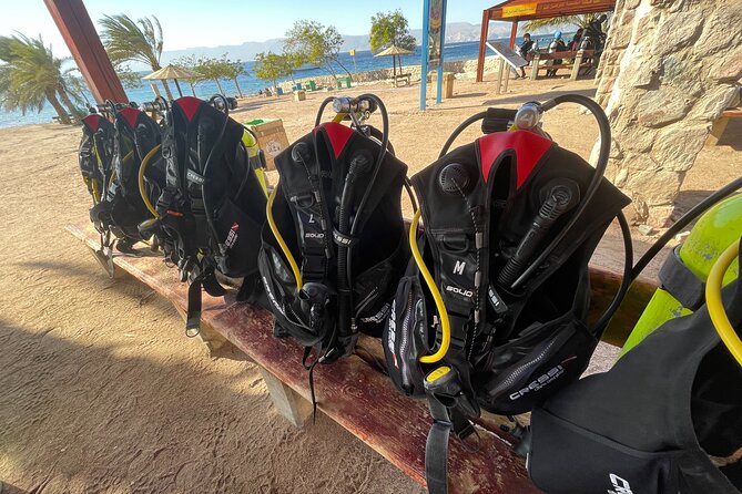 3-Hour Shore Dive or Snorkel Experiences in Aqaba