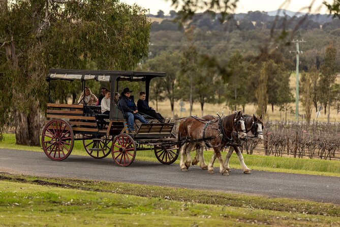 3- Hour Wine and Harvest the Hunter Horse Tour in Pokolbin