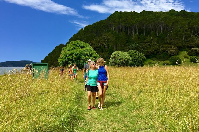 3 Hours // Hole in the Rock Cruise & Bay of Islands Tour