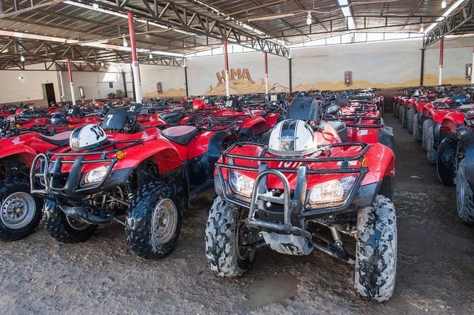 3 Hours Safari ATV Quad Bike Camel Ride With Transfer In Hurghada