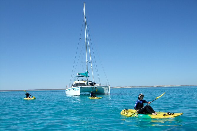 3 Night Ningaloo Reef Snorkel and Dive Getaway From Coral Bay