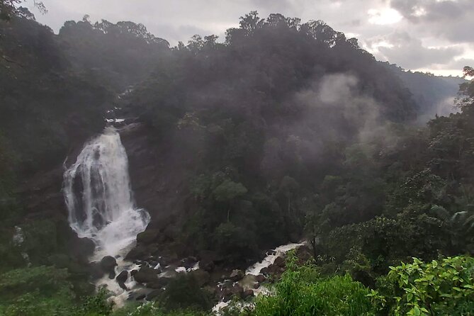 3 Nights 4 Days Munnar Alleppey Private Tour With Exclusive Houseboat Stay