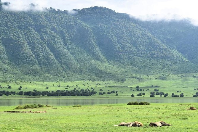 3days Serengeti National Park and Ngorongoro Crater Tanzania Safari