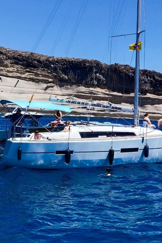 4 Best 3 Hour Tours and Experiences in Costa Adeje