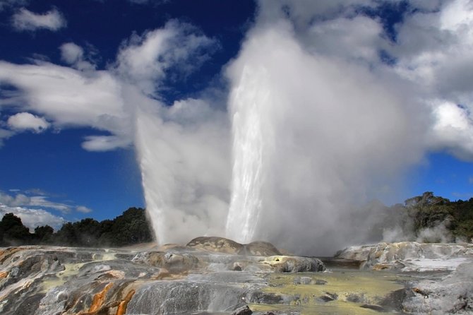 4-Day Auckland to Wellington via Rotorua Tour