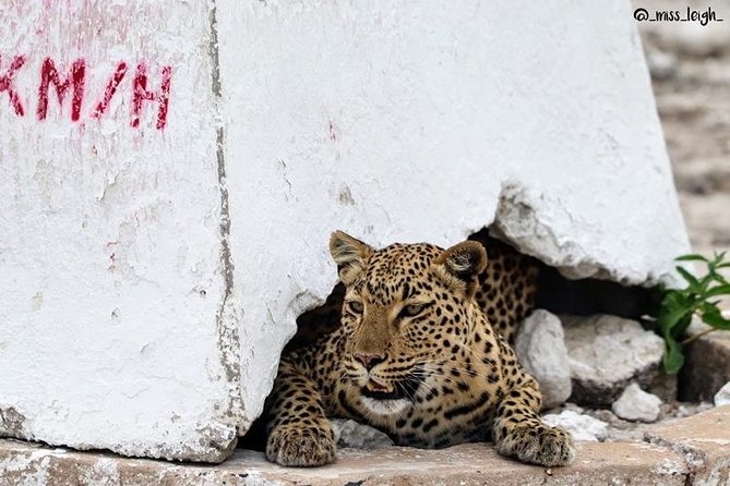 4-Day Etosha and Swakopmund Accommodated Adventure From Windhoek