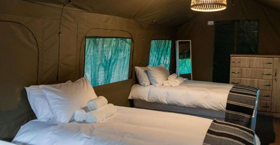4 Day Kruger Glamping Budget Adventure