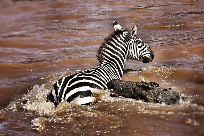 4-Day Manyara Serengeti and Ngorongoro Wonders Budget Safari Tour