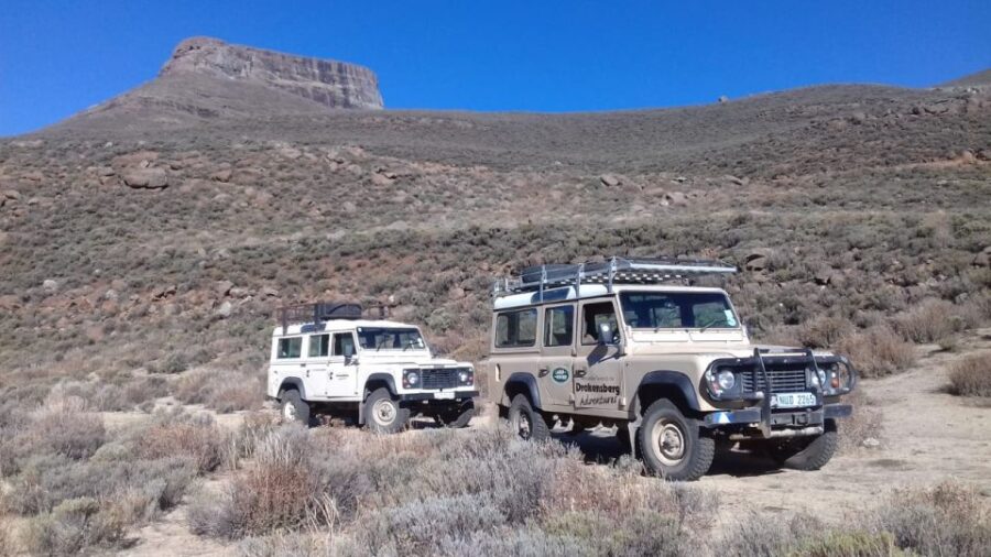 4 Day Pony Trek