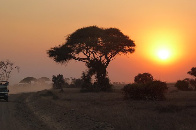 4-Day Safari: Lake Manyara, Serengeti & Ngorongoro