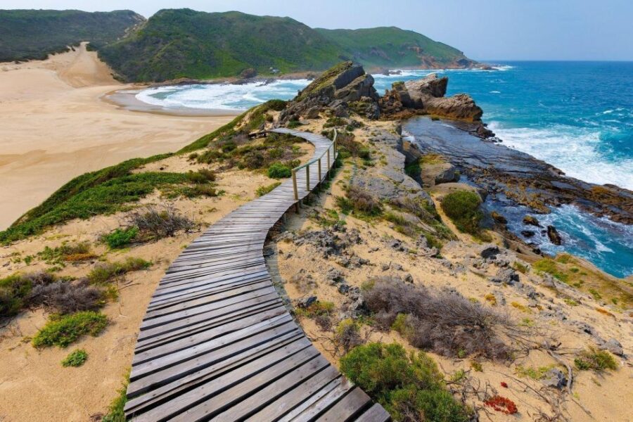 4 Day Small Group Garden Route Tour From Cape Town