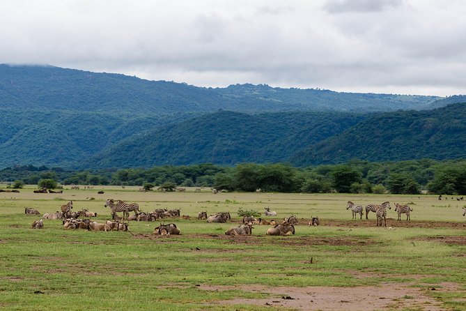4-day Tanzania Safari