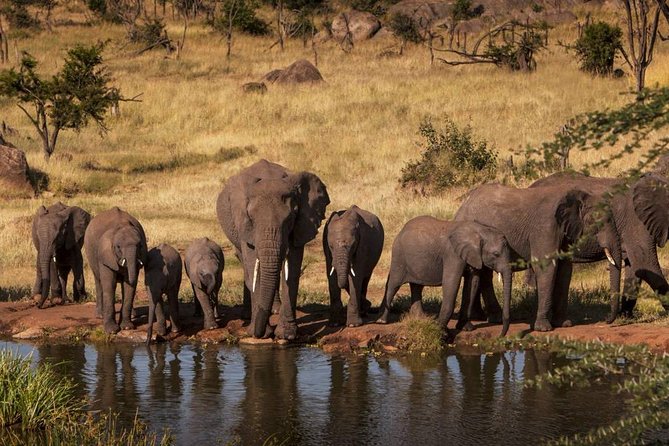 4-Days Adventure Camping Safari to Tarangire, Serengeti & Ngorongoro