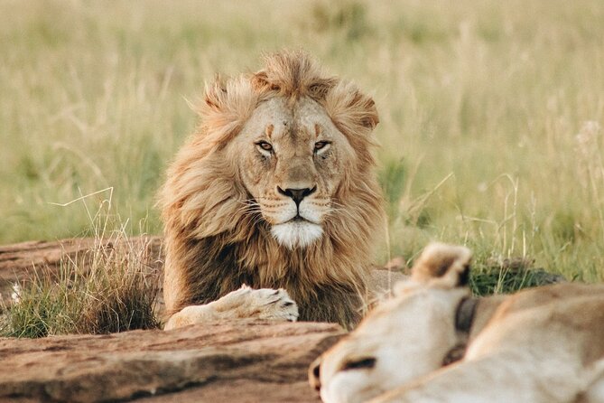 4 Days Experience Big Five in Tarangire, Serengeti & Ngorongoro Safari