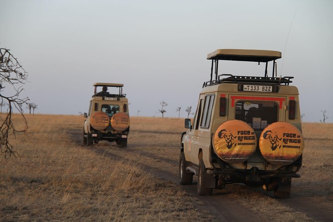 4 Days Game Drives Safari Tarangire, Serengeti and Ngorongoro Crater
