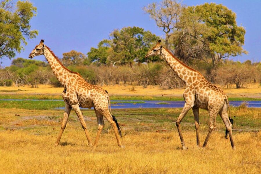 2 Best 4 Day Tours In Panorama Route