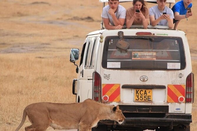 4 Days Masai Mara Lake Nakuru Jeep Safari