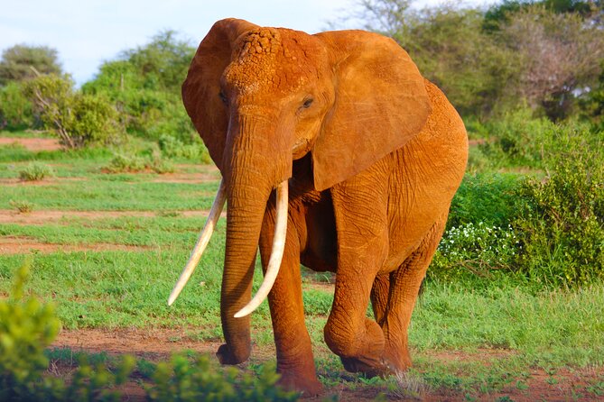 4 Days Tanzania Budget Group Join Safari- Serengeti & Ngorongoro