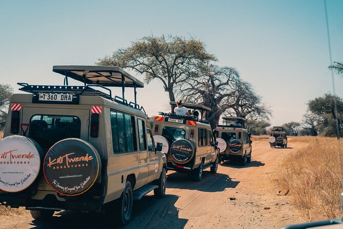 4 Days Tanzania Budget Safari - Tour Itinerary