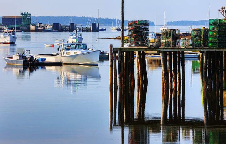 4 Hour Private Tour: Acadia, Fjord, Gardens & Mansions