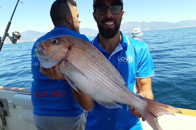 4 Hours Bottom Fishing Day by Boat From Marbella