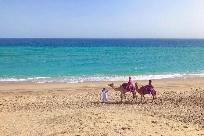4hr Desert Safari: Sunset,Sunrise,Camel,Sand Boarding,Inland Sea