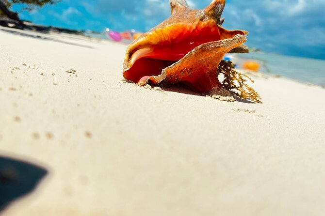 4HR Private Half-day Boat in Gracebay