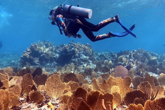 5-Day, 4 Nights Catamaran Adventure in the Exumas - Catamaran Amenities and Inclusions