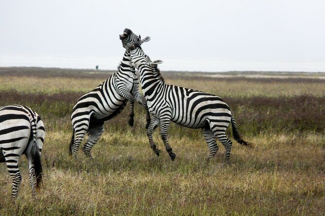5-Day Group Tour Mid Range
