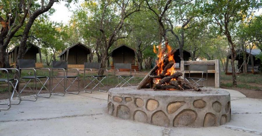 5 Day Kruger Glamping Budget Adventure - Affordable Safari Experience
